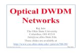 DWDM Networks.pdf