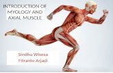 Introduction of Musculoskeletal and Axial Muscle