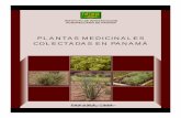Plantas Medicinales Colectadas en Panama