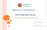 Software Testing Type