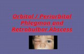 Orbital and Periorbital Phlegmon