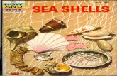How and Why Wonder Book of Sea Shells