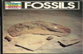 How and Why Wonder Book of Fossils