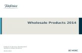 Wholesale Services 20140625