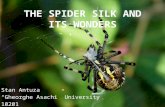 The spider silk and its wonders.pptx