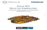 Petrel RE 2011 - A Step-By-Step Guide to Defining a Simulation Case..