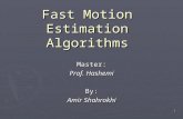 Fast Motion Estimation (1)