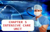 Intensive Care Unit (student version)