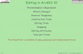 Editing Arc Gis 10