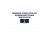 Biomagnetismo Manual Holistico
