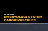 Embryologi System Cardiovasculer