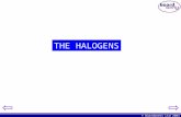 C3 Patterns of Behaviour - The Halogens