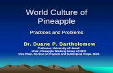 Pineapple Seminar Taiwan