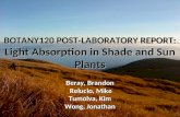 Botany120 Post-laboratory Report