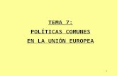Politicas Comunes UE