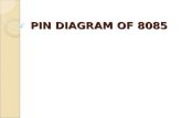 16905_Pin Diagram of 8085