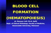 (1) Hematopoiesis