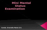Mini Mental Status Report