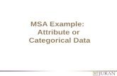MSA for Attribute or Categorical Data