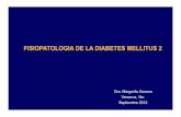 Fisiopatologia de La Diabetes Mellitus 2