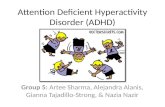 Attention Deficient Hyperactivity Disorder Informational Powerpoint