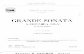 Paganini_Sonata Grande (Guitar y Acompaamiento de Violin)