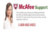 Mcafee Support Number 1 800 882 0652