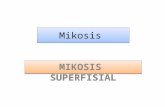 MIKOSIS SUPERFISIAL 15.ppt