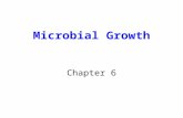 4. Microbial Growth1-ST
