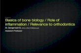 Basic Bone Biology