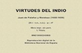 Virtudes Indio