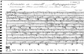 schubert. sonata arpeggione. flute part.pdf