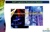 SAP Logistics Execution System.pdf