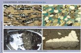Carbonate sedimentary rocks-Lecture 2014-2015 121-140