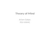 Theory Mind