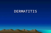 53494822 Dermatitis