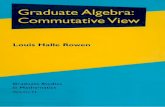 Graduate Algebra - Comutative View