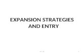 Expansion and Entry Strategies