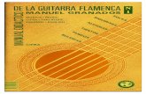 Flamenco Guitar - Manuel Granados