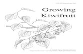 Growing Fckn Kiwwi Fruit Jesus ugh