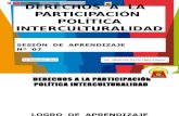 DEMOCRACIA CONSTITUCIONAL.pptx