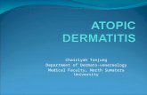 K15b Dermatitis Atopic