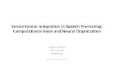 Sensorimotor Integration in Speech Processing