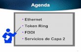 Ethernet Token Ring FDDI