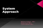 SYSTEM APPROACH Power Point Presentation1