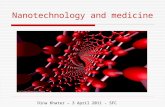3 April 2011 - Nanotechnology & Medicine-Dina Khater