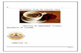 coffee cafe  b plan(1).doc