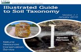 Illustrated Guide to Soil Taxonomy