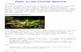 Algae in the Planted Aquarium Edited.doc