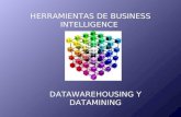Datawarehouse y Datamining